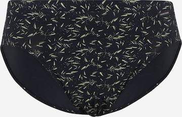 SCHIESSER Panty 'Supermini' in Black: front