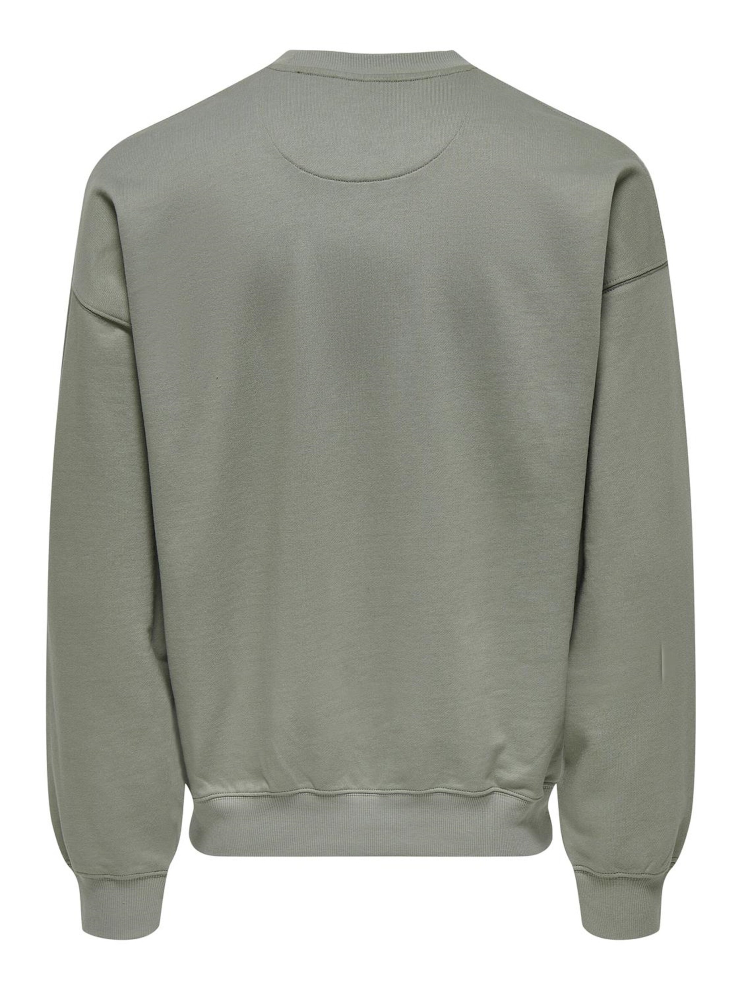 Only & Sons Sweatshirt 'Alta' i grå