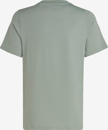 ADIDAS ORIGINALS T-shirt 'Adicolor' i grön