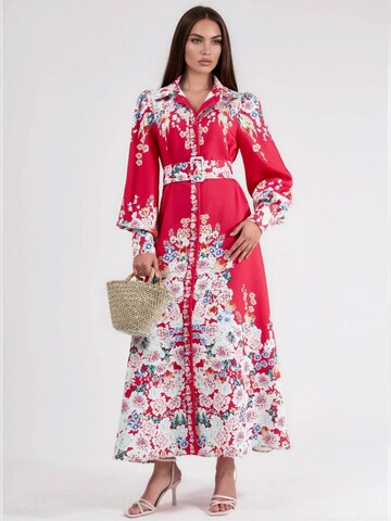 MSN Collection Maxi Kleid in Rot: Vorderseite