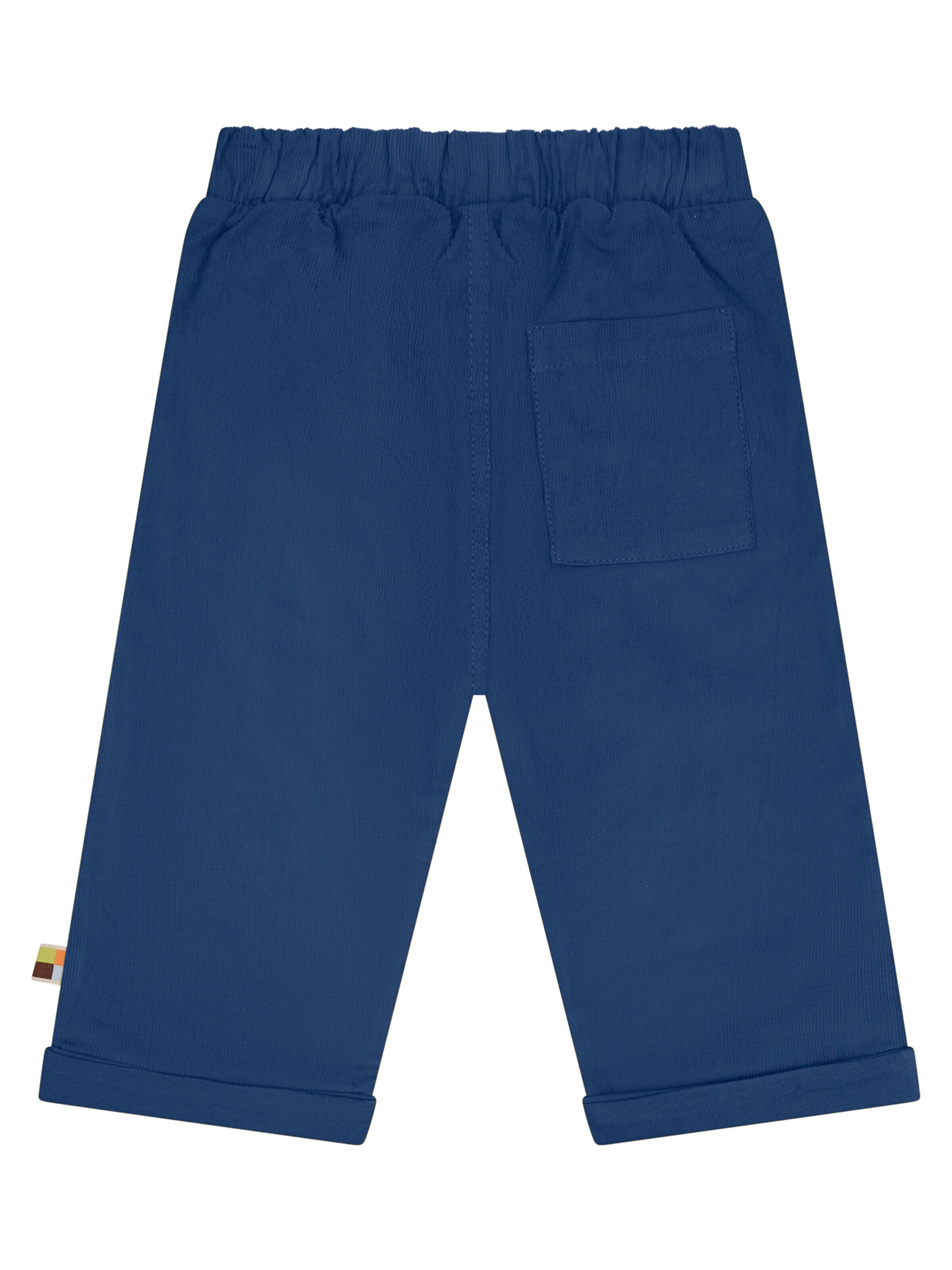 loud + proud Regular Pants in Blue
