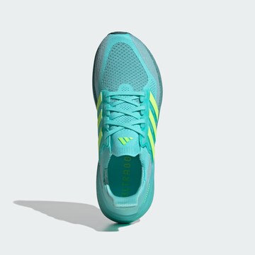 ADIDAS PERFORMANCE - Zapatillas de running 'Ultraboost 5' en azul