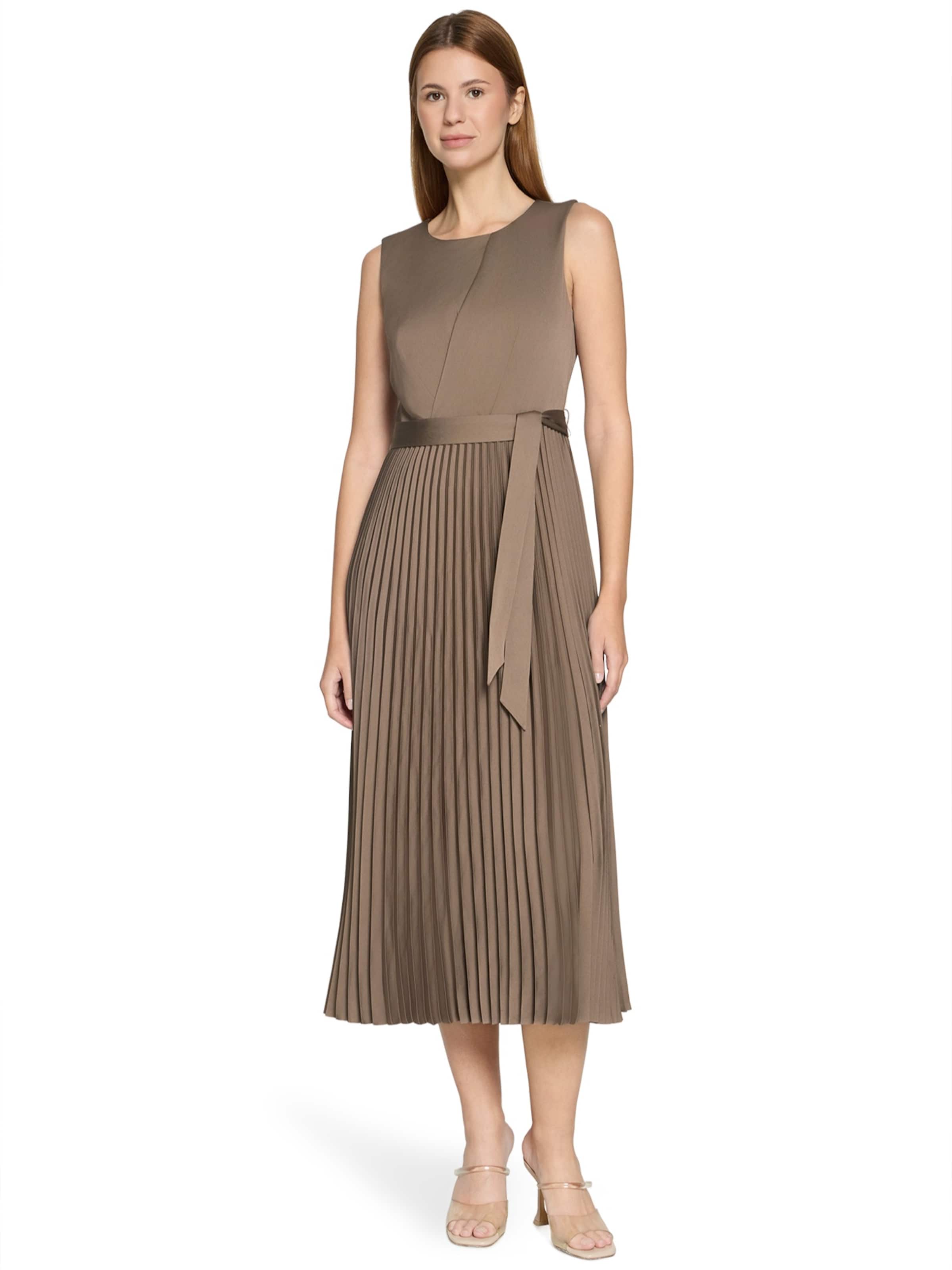 Vera Mont Dress in Brown: front
