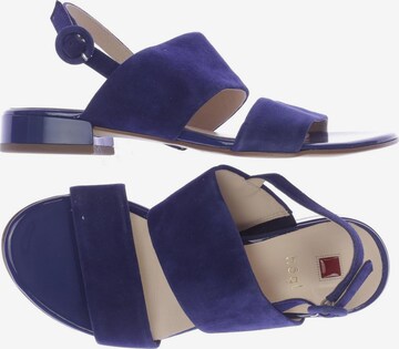 Högl Sandals & High-Heeled Sandals in 35,5 in Blue: front