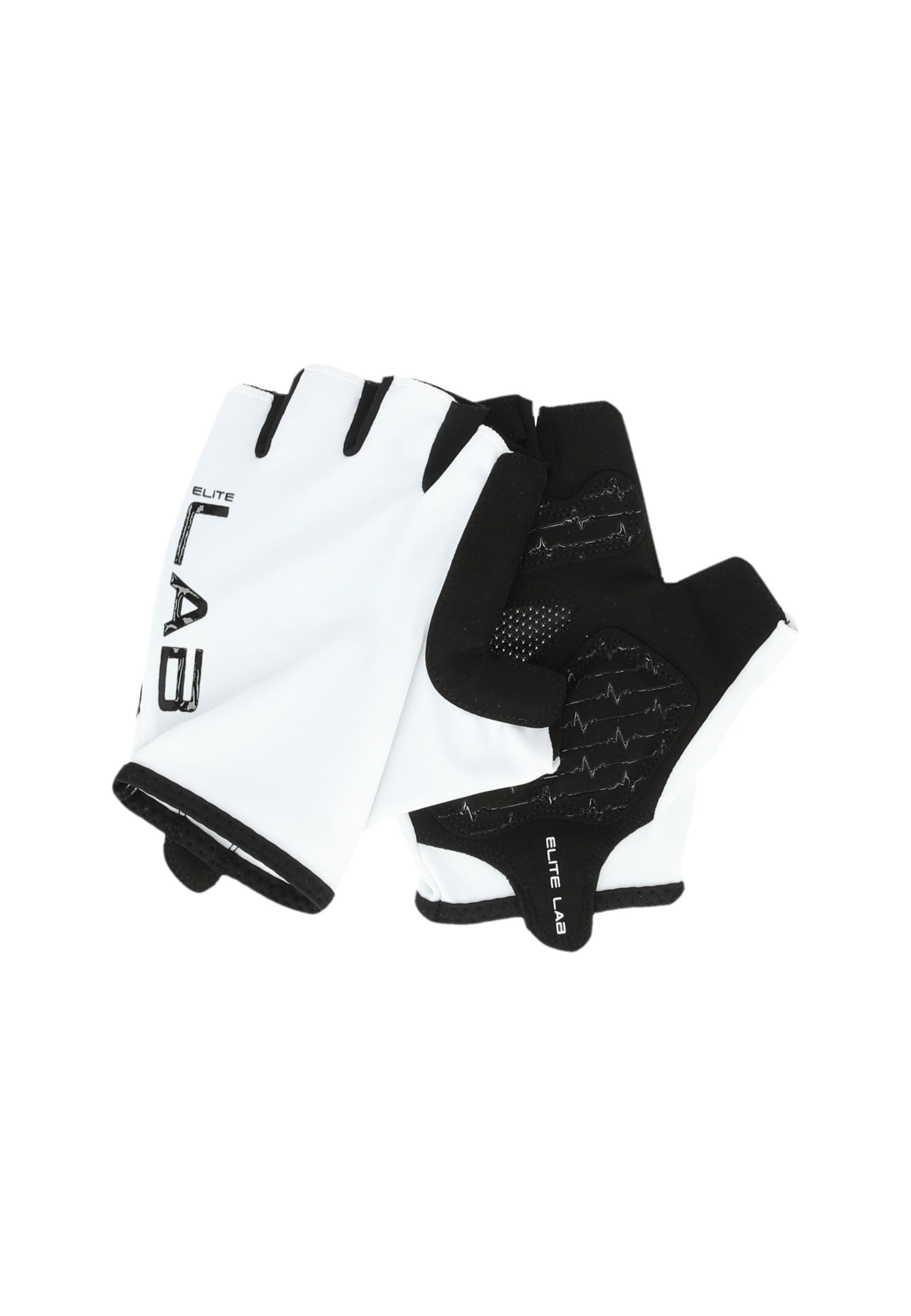 ELITE LAB Sporthandschoenen 'Bike Elite Core' in Zwart