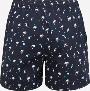 Shorts de bain 'Len' TOM TAILOR en bleu
