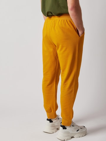 OWN Off With Nature Regular Broek 'Joggers Felpati' in Bruin