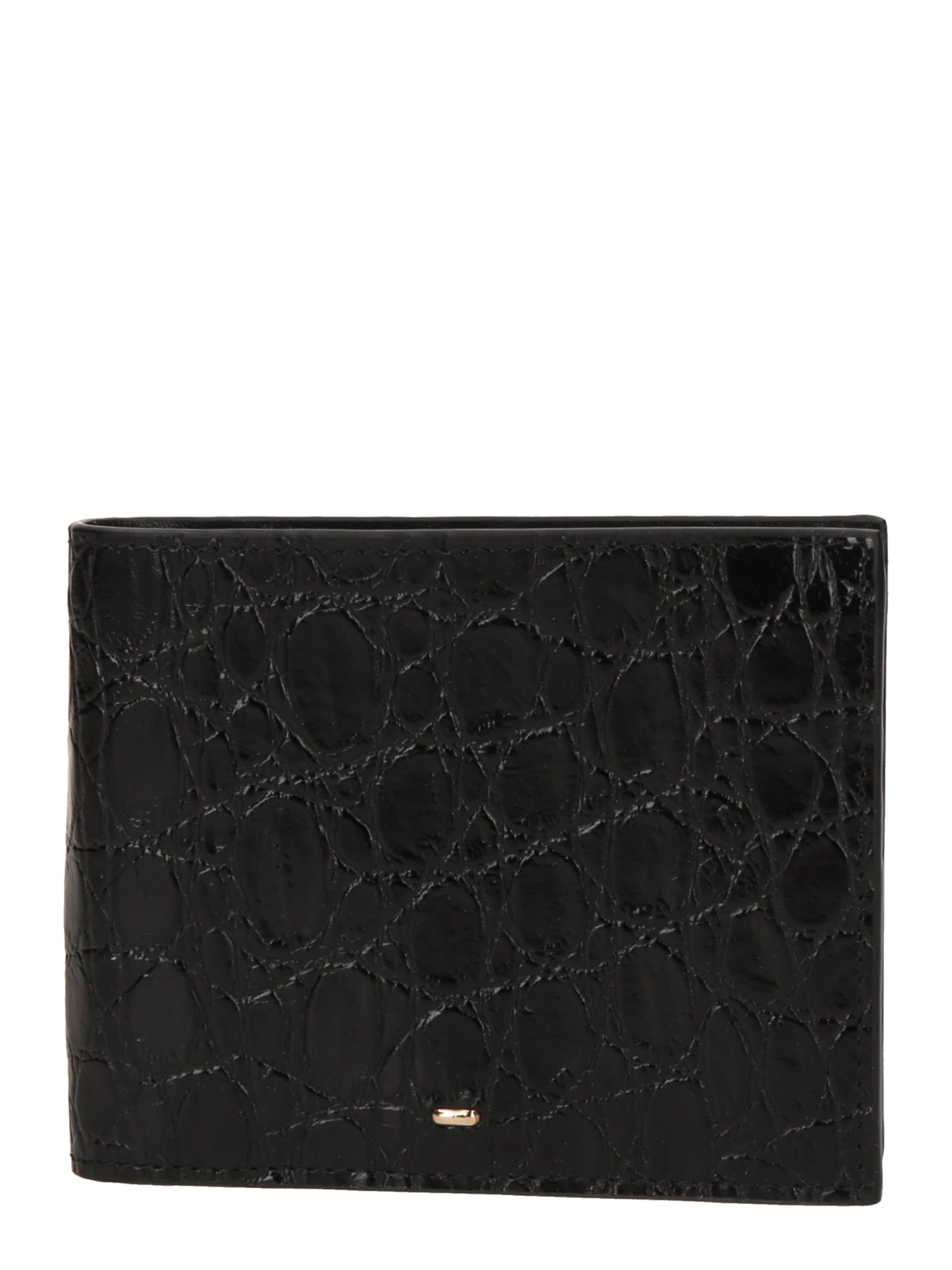 Giuseppe Zanotti Wallet in Black: front