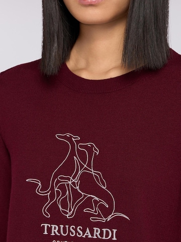 Trussardi Sweater in Brown