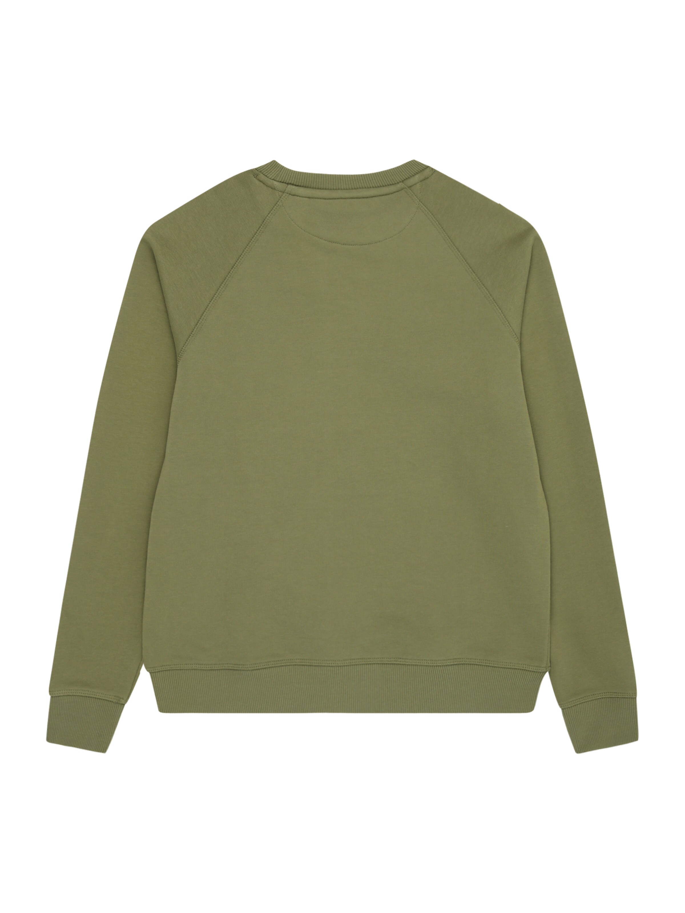 GANT Sweatshirt i grøn