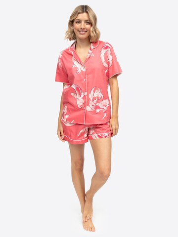 Cyberjammies Slaapshirt 'Amelia' in Rood: voorkant