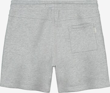 regular Pantaloni 'Sem' di Shiwi in grigio