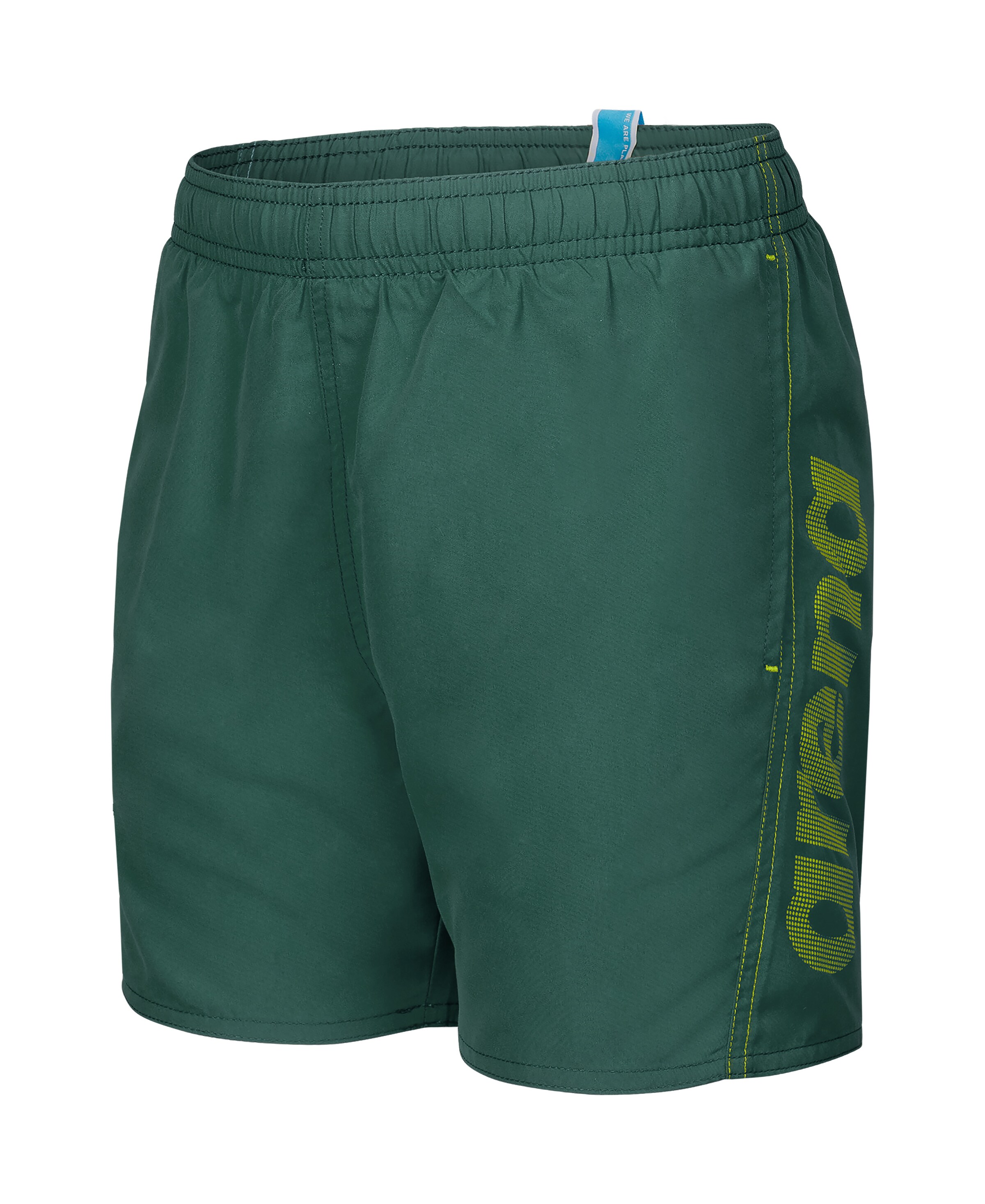ARENA Athletic Swimwear in Green: front
