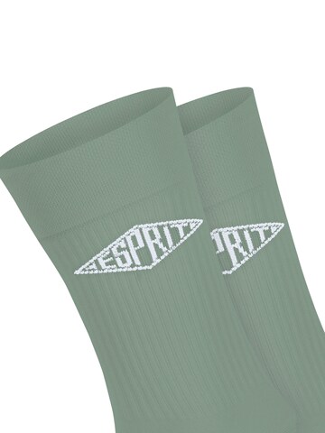 ESPRIT Socks 'Unisex Logo 2-Pack' in Grey