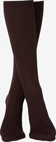 CALZEDONIA Knee High Socks in Brown: front