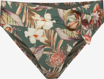Marc & André Bikini Bottoms in Green: front