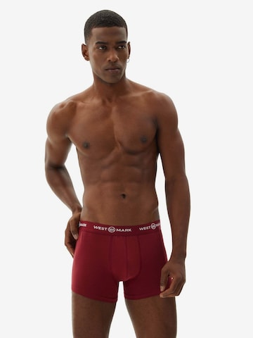 WESTMARK LONDON Boxer shorts in Mixed colors