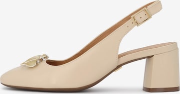 smėlio Kazar Basutės: priekis