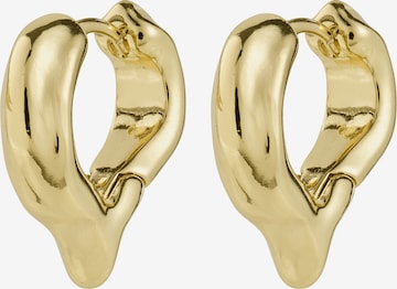 Pilgrim Korvakoru 'Iris' värissä kulta: etupuoli