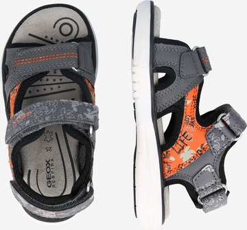 GEOX Sandals & Slippers 'Maratea' in Grey