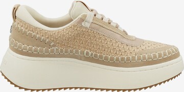 STEVE MADDEN Sneakers in Beige