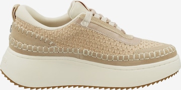 STEVE MADDEN Låg sneaker i beige