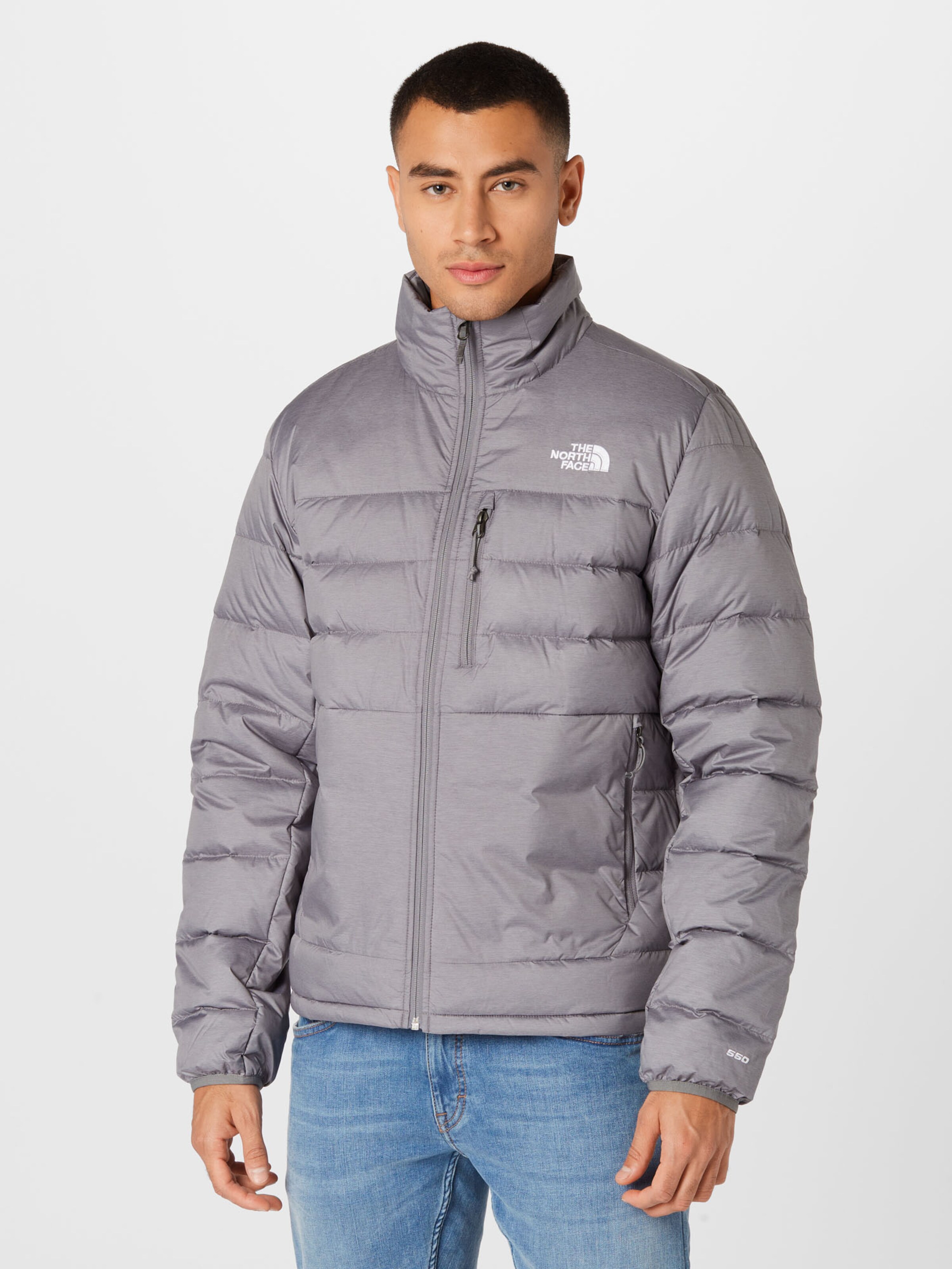 The North Face Jacke Aconcagua 2 In Grau About You