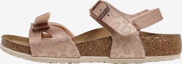 BIRKENSTOCK Buty otwarte 'Rio' w kolorze brąz: przód