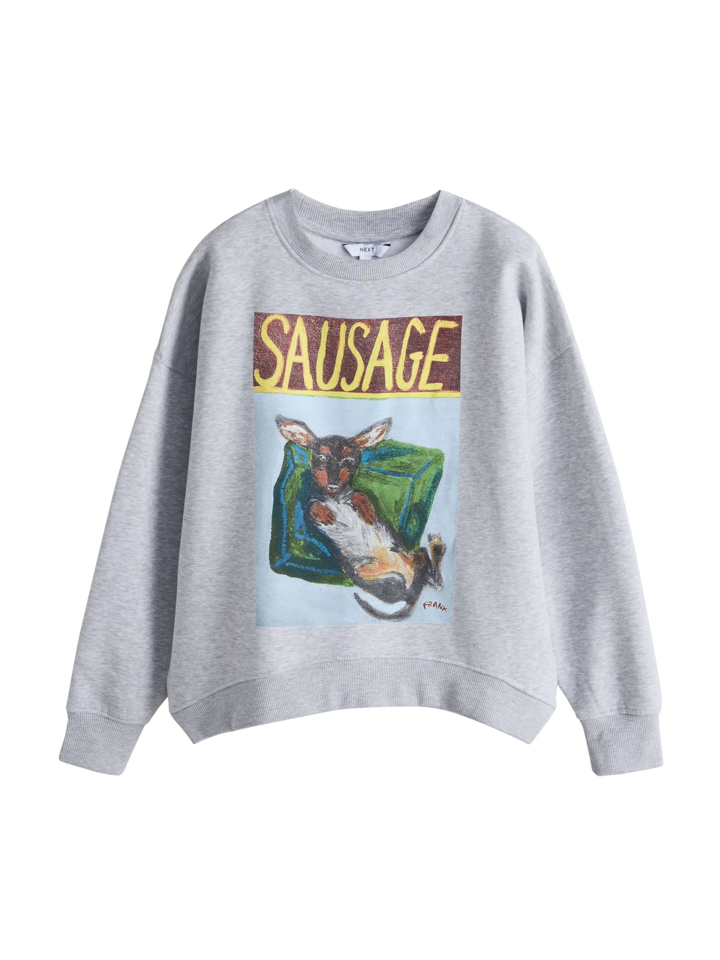 Felpa 'Frankie Thorpe Dackel' di Next in grigio: frontale