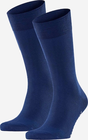 Calzino di FALKE in blu: frontale