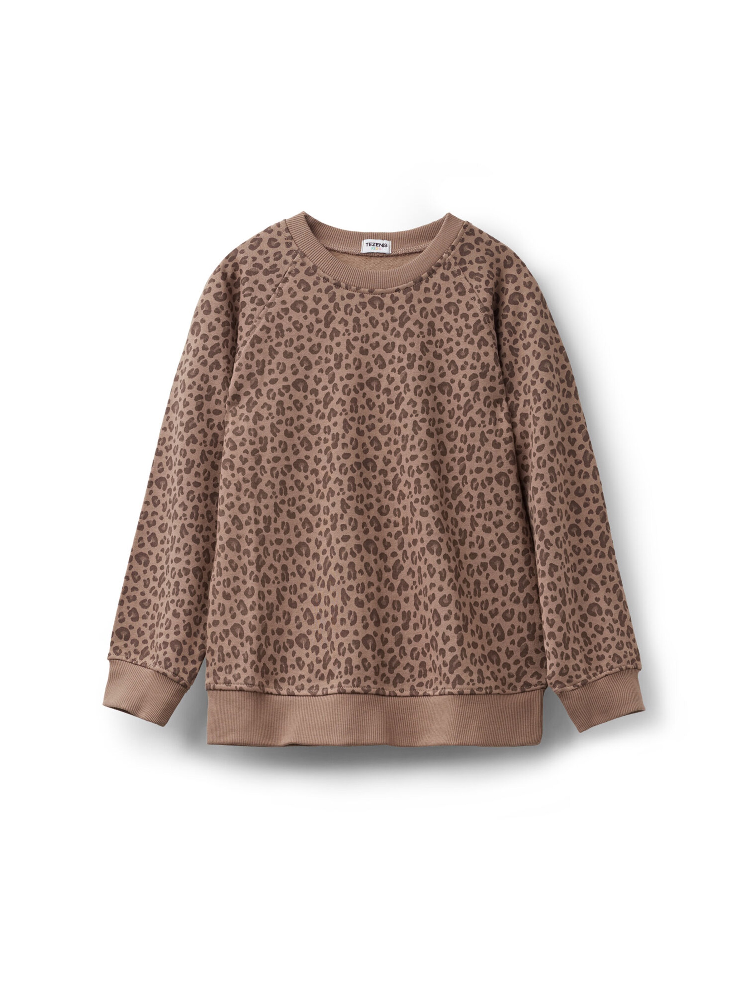 Tezenis Sweatshirt in Brown: front