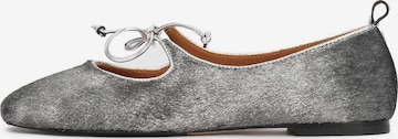 Ballerines à lanières Kazar Studio en gris : devant