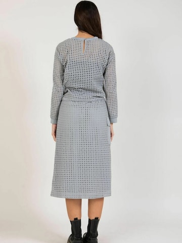 Coster Copenhagen Rok ' Long ' in Grijs