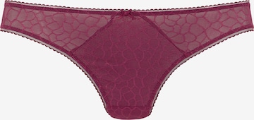 LASCANA String in Purple: front