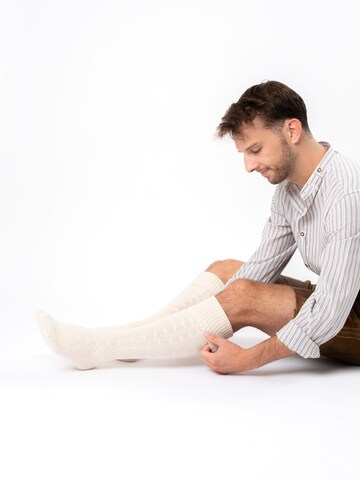 HerzSticht Trachtensocken 'Silberdistel'‌‌‌‌‌‌‌ in Beige