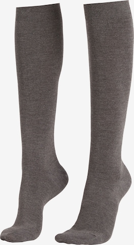 CALZEDONIA Knee High Socks in Grey: front