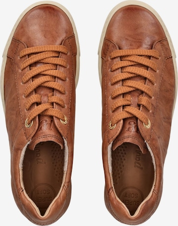 Paul Green Sneaker in Cognac ABOUT YOU