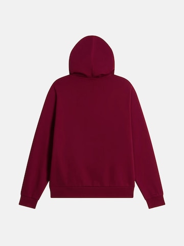 THE NORTH FACE - Sudadera 'THE NORTH FACE W EVO SD REG HOODIE Maglieria' en rojo