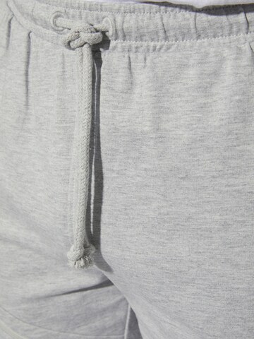 BABISTA Regular Sports trousers 'Haric' in Grey