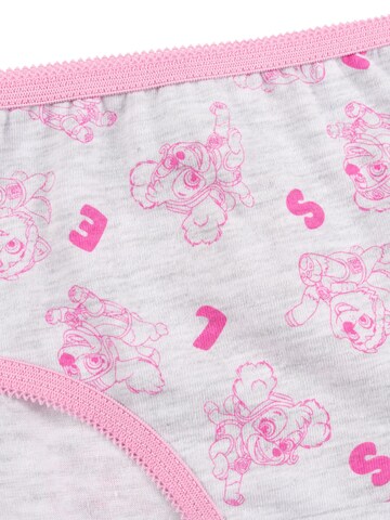 Paw Patrol Underpants in Pink