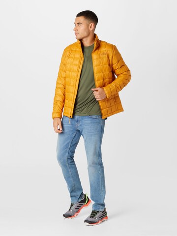 THE NORTH FACE Funkcionalna majica 'Reaxion Amp' | zelena barva