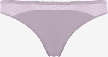 PASSIONATA Slip in Lila: predná strana