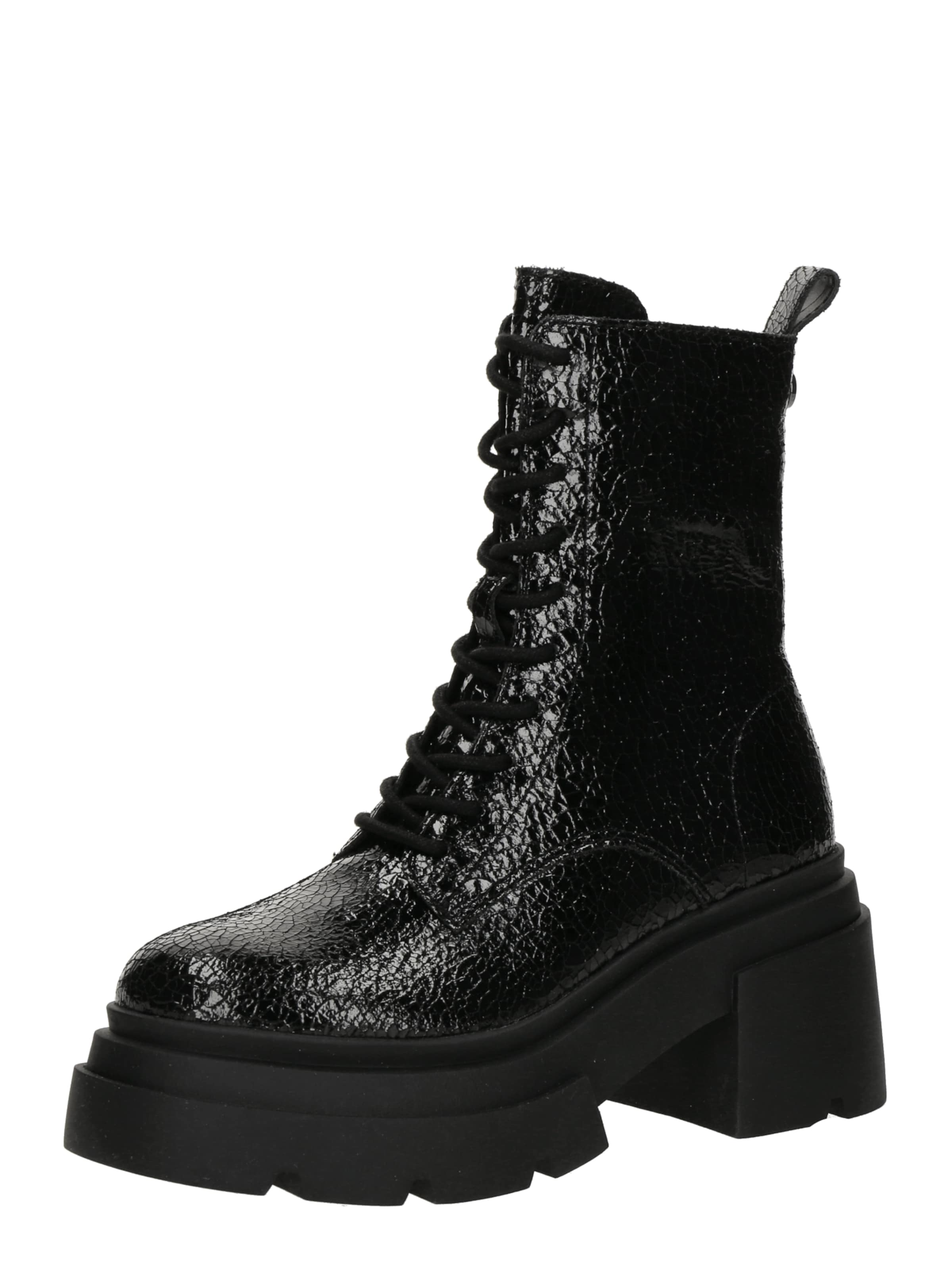 STEVE MADDEN Ниски ботуши с връзки 'Tossup' в черно: отпред