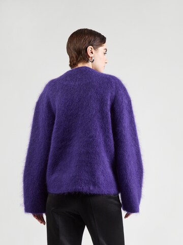 Pull-over & Other Stories en violet