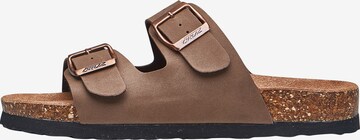 Cruz Mules 'Whitehill' in Brown