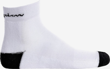 Champion Authentic Athletic Apparel Athletic Socks in White