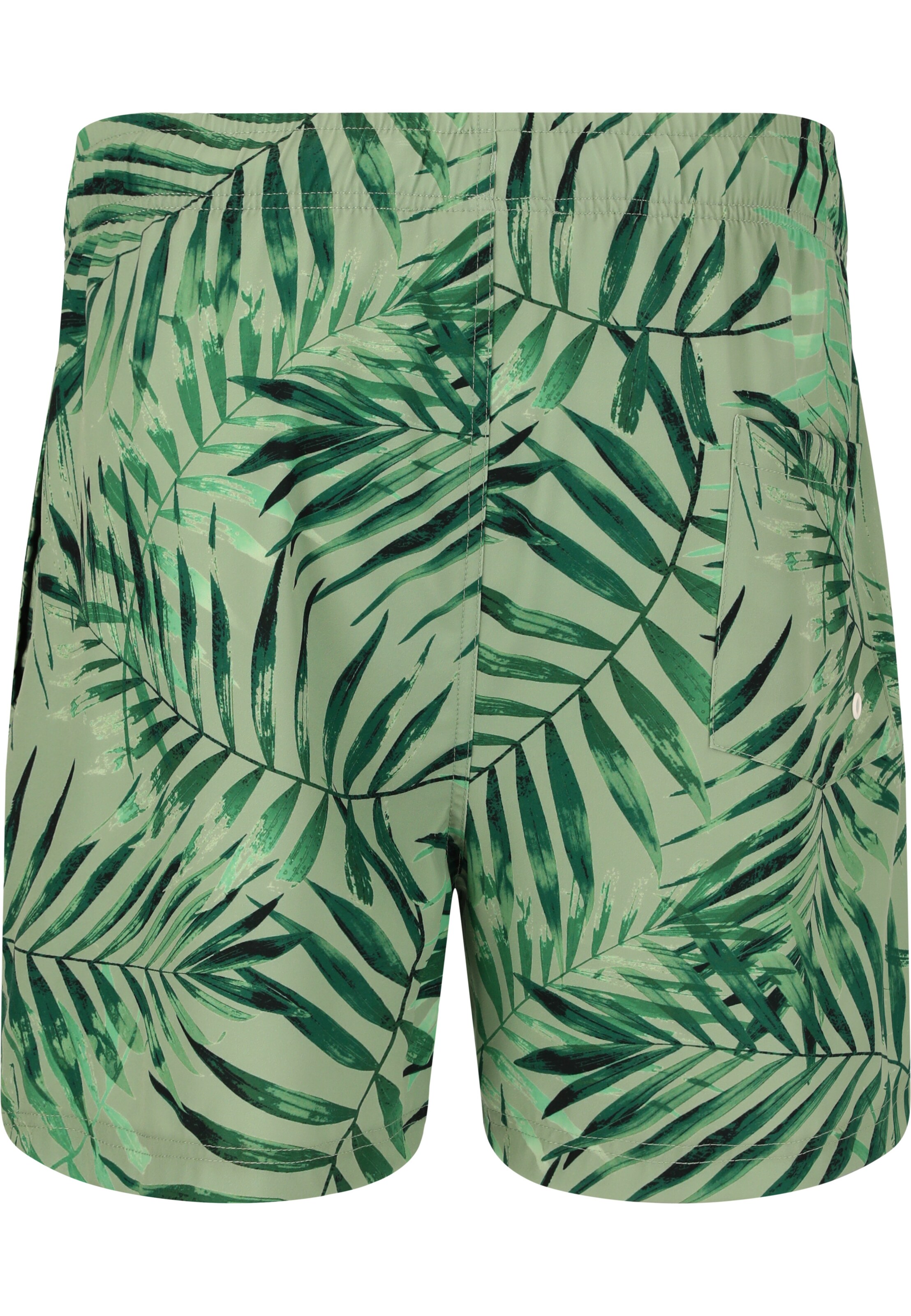 Cruz Swimming shorts 'Toby' in Green
