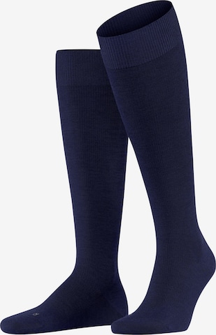 FALKE Knee High Socks 'Energizing Wool' in Blue: front