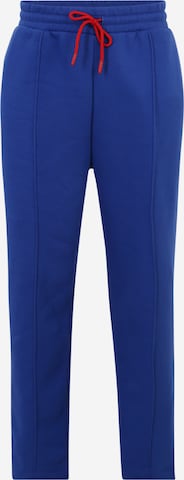 Smiles Regular Broek 'Ediz' in Blauw: voorkant