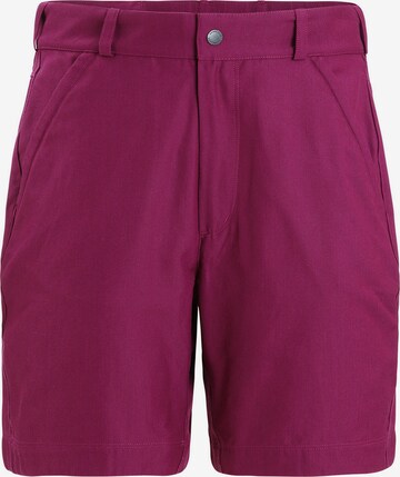 ICEBREAKER Regular Outdoor Pants 'HIKE' in Purple: front